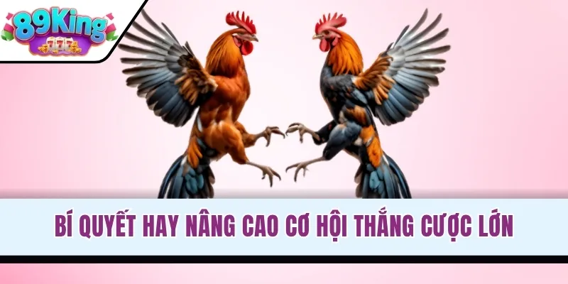 Bí quyết hay nâng cao cơ hội thắng cược lớn